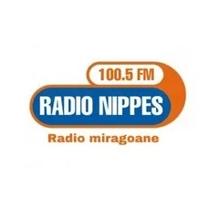 RADIO NIPPES 100.5 FM
