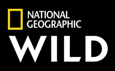 Nat Geo WILD