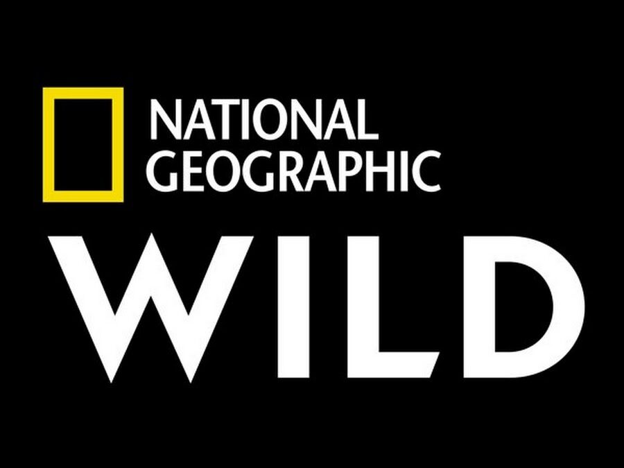 Nat Geo WILD